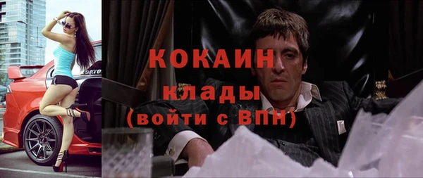 прущий лед Арсеньев