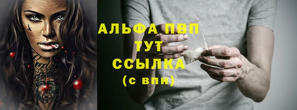 стафф Алексин