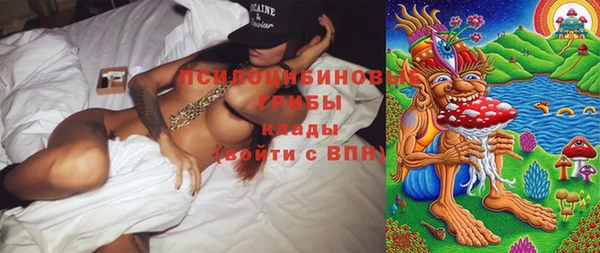 прущий лед Арсеньев