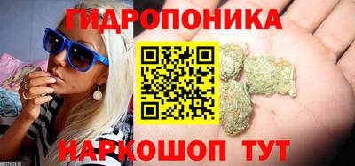 Альфа ПВП Лесной