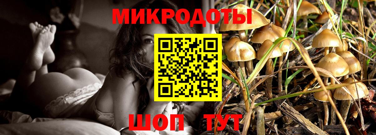 Псилоцибиновые грибы Cubensis  Вход с VPN  Кореновск 