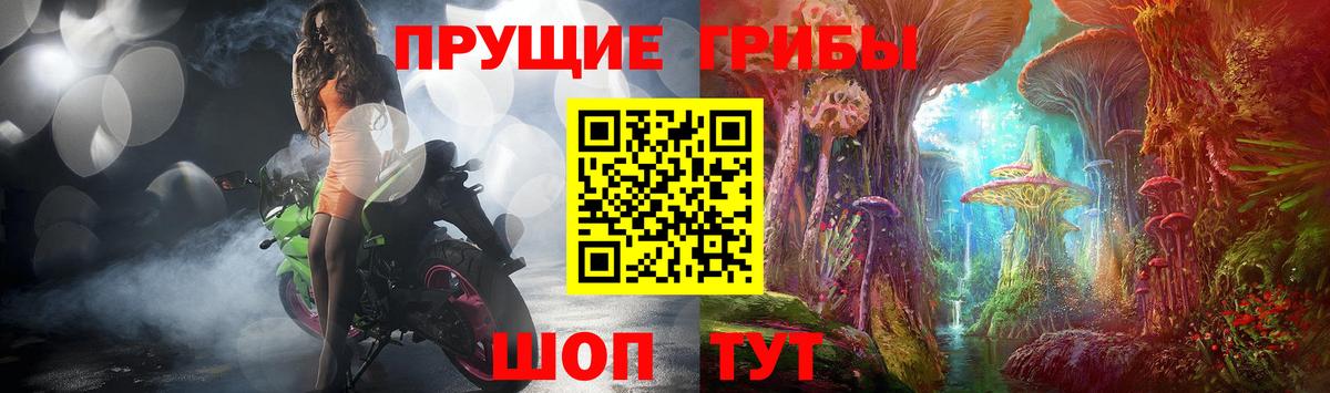 Галлюциногенные грибы GOLDEN TEACHER Кореновск